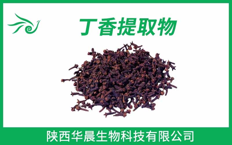 丁香提取物、母丁香提取物、公丁香提取物