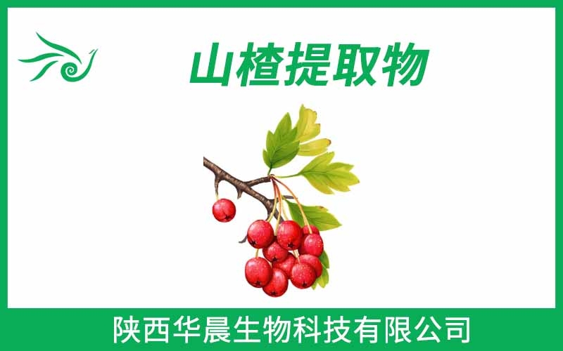 山楂果提取物