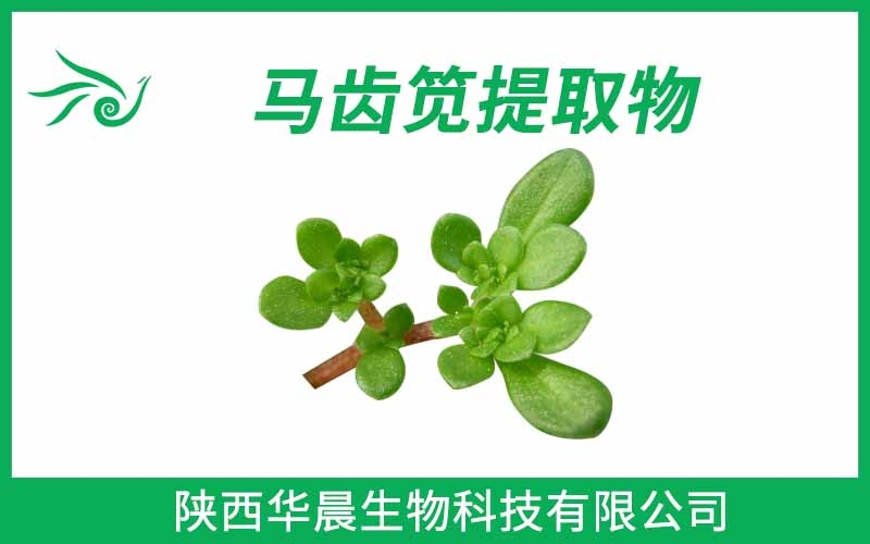 馬齒莧提取物、馬齒筧提取物