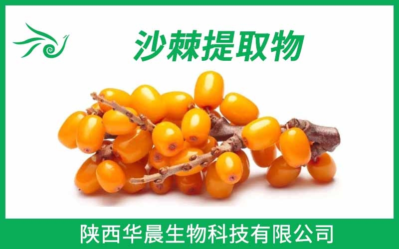 沙棘提取物 沙棘黃酮