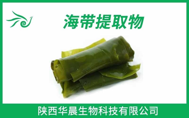 海帶提取物、昆布提取物