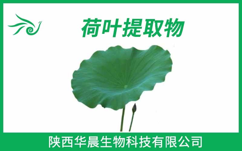 荷葉提取物