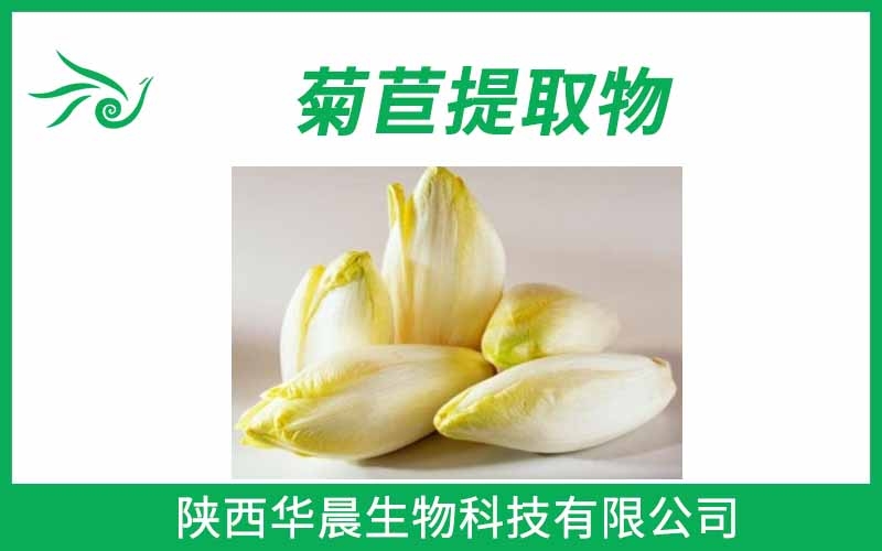 菊粉、菊芋提取物、菊苣提取物