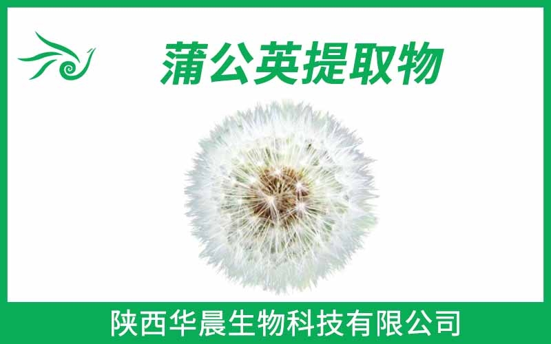 蒲公英提取物