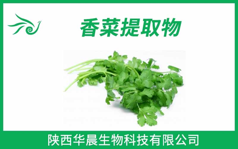 香菜提取物、芫荽提取物