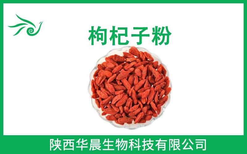 枸杞子粉